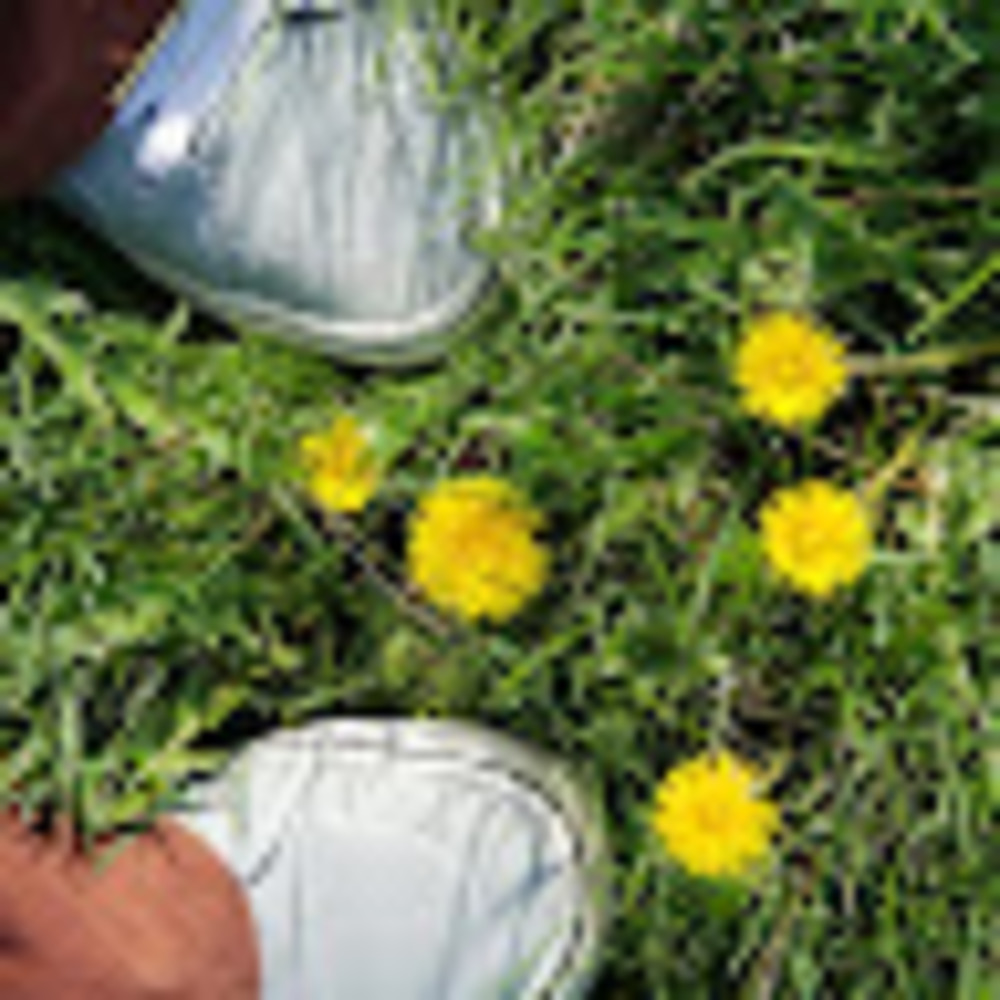 Meet your Posher, Kandra